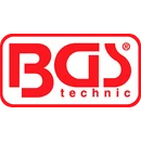 BGS