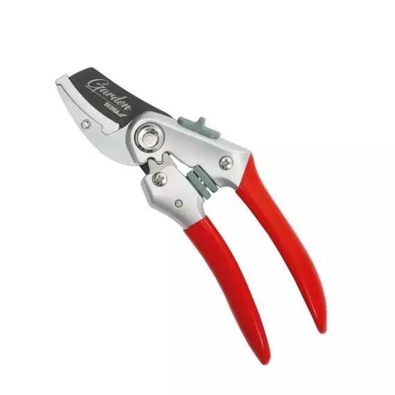 Dedra metszőolló 200 mm rozsdamentes acél