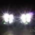 Amio DRL 510L nappali menetfény világítás