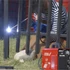 Dedra inverteres hegesztő IGBT 180 A MMA
